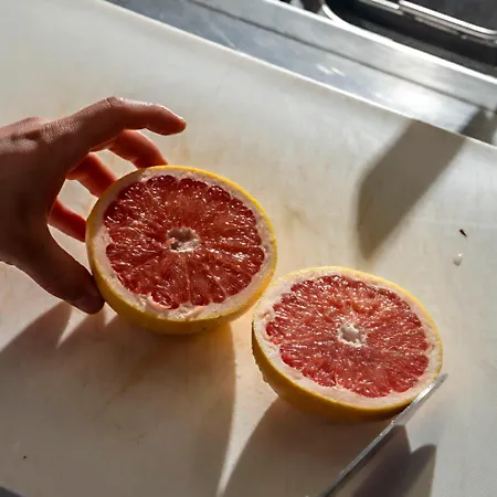 Il Castagneto