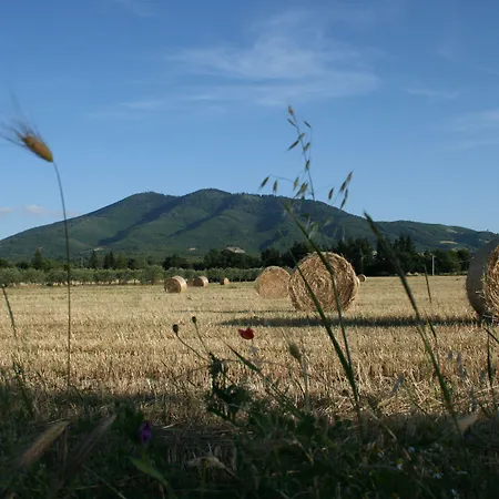 Hotel Il Castagneto Melfi