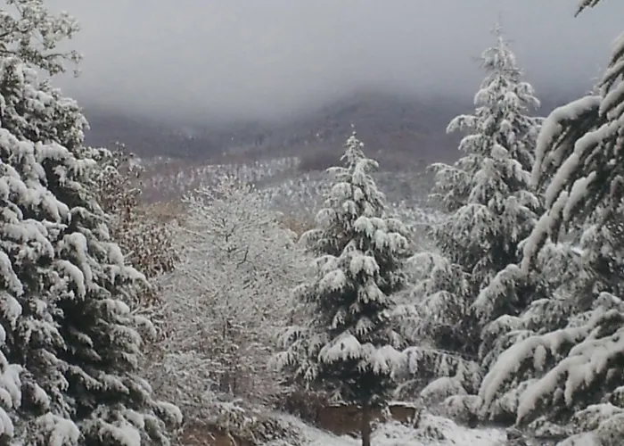 Il Castagneto Ξενοδοχείο Μέλφι