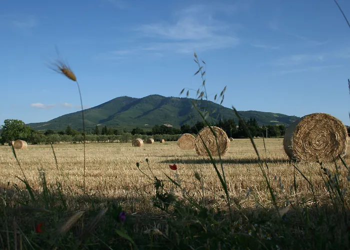 Hotel Il Castagneto Melfi